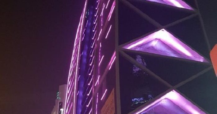 Al-Hammad Tower Riyadh